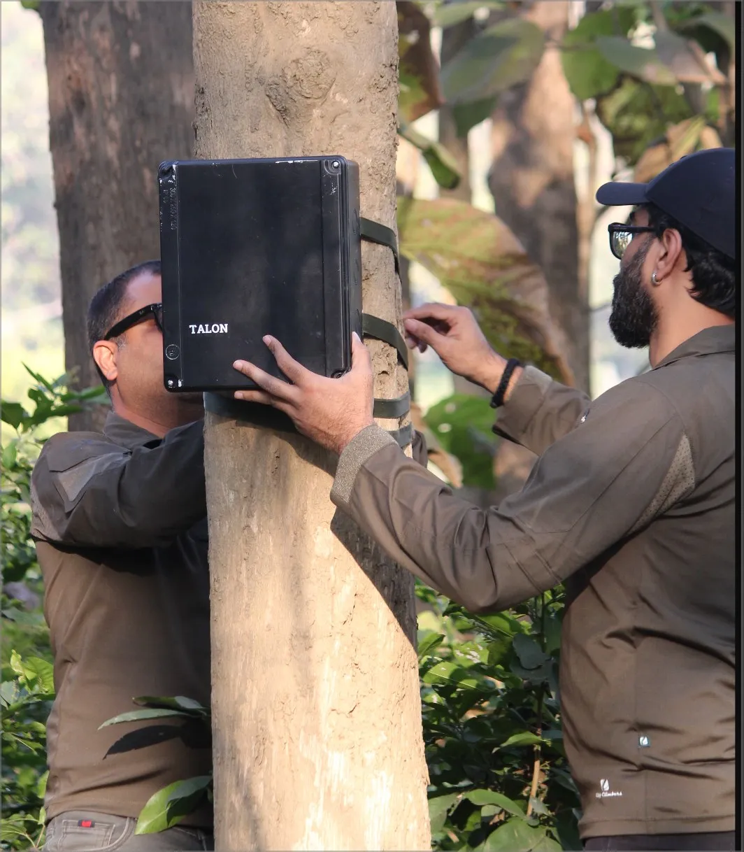 TALON team members fixing a prototype node to a tree during the trial