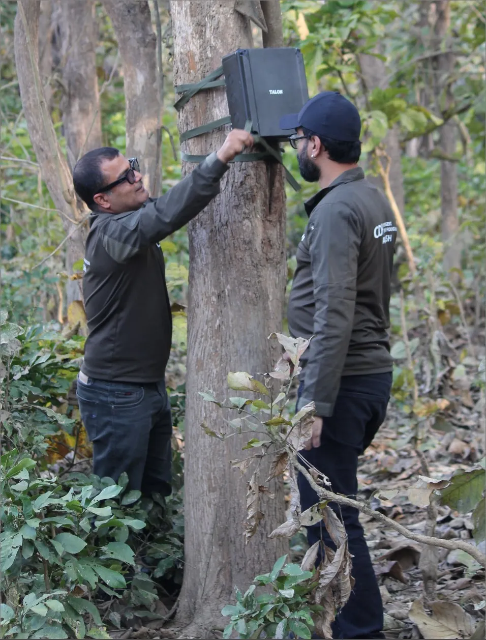 Two team members checking a prototype node mounted high on a tree